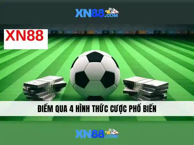 Giới thiệu về xn88