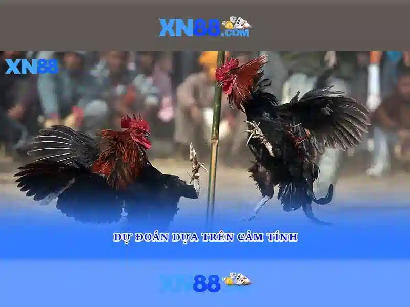 Bắt cầu tài xỉu nhanh chóng, chính xác