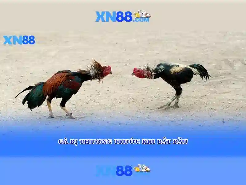 Game bắn cá C54 được nhiều người chơi yêu thích