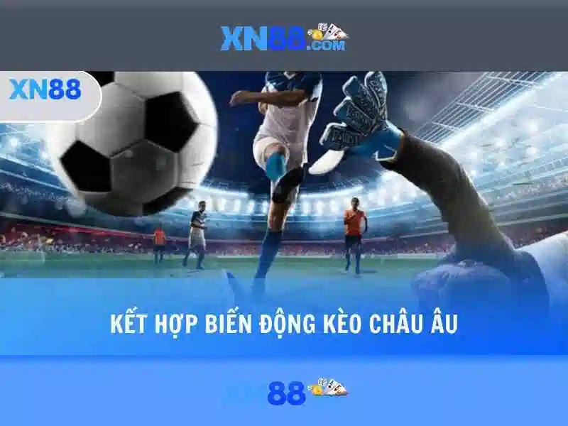 Kết luận và tương lai của XN88