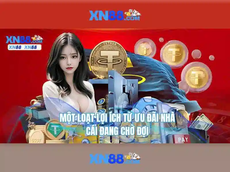 Nhu cầu và phạm vi của xn88