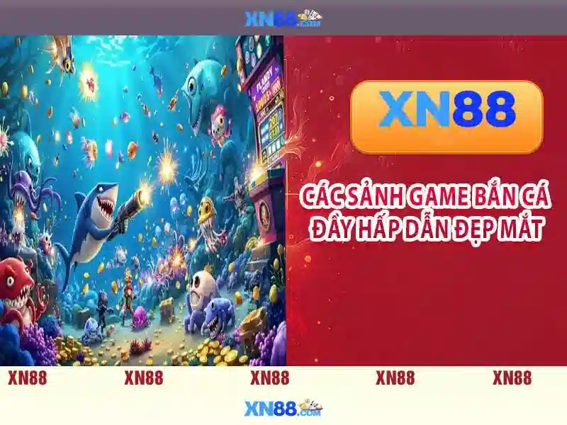 Nền tảng và giao diện