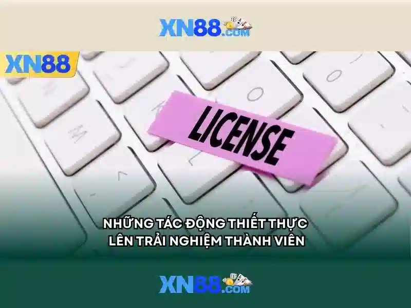 Giới thiệu về xn88