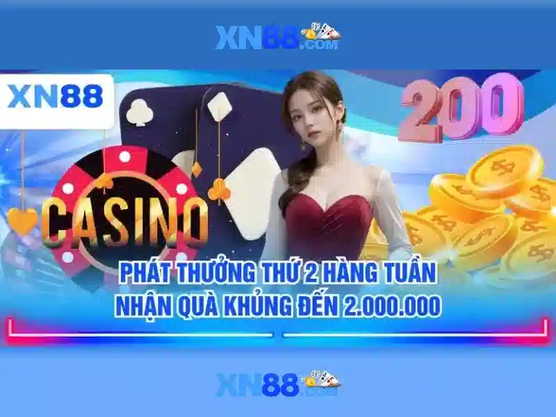 Giới thiệu về xn88