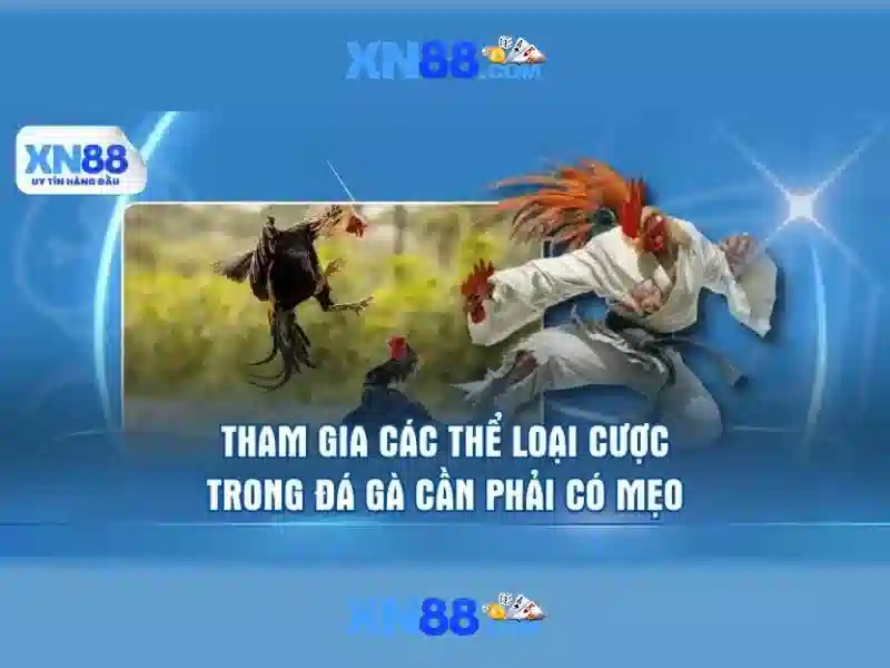 An toàn và tuân thủ