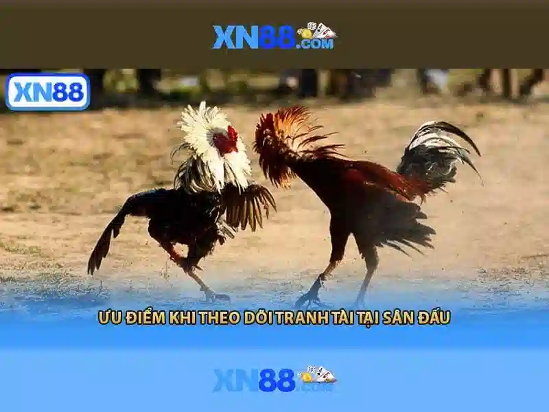 Game bắn cá C54 được nhiều người chơi yêu thích