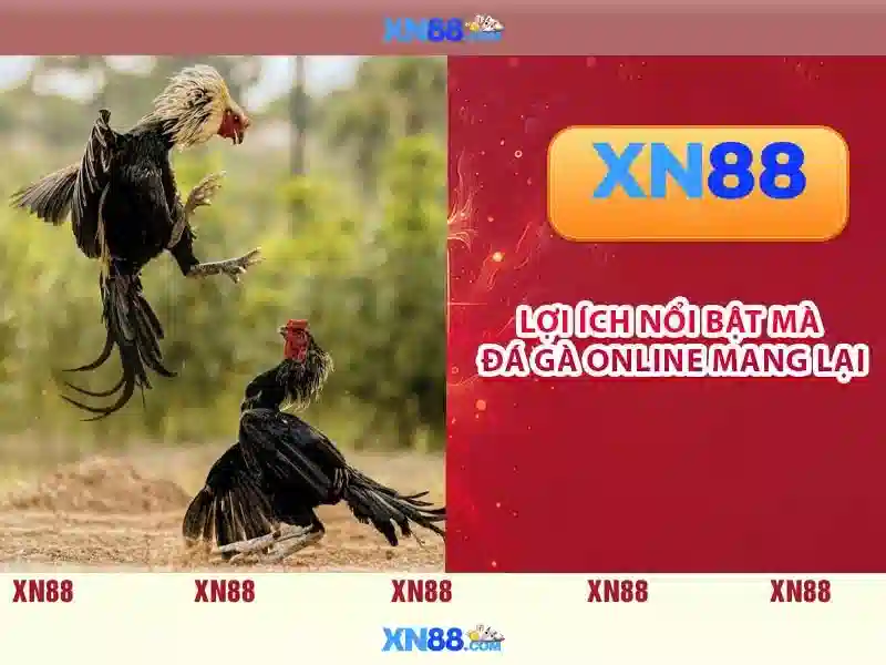 Game bắn cá C54 được nhiều người chơi yêu thích