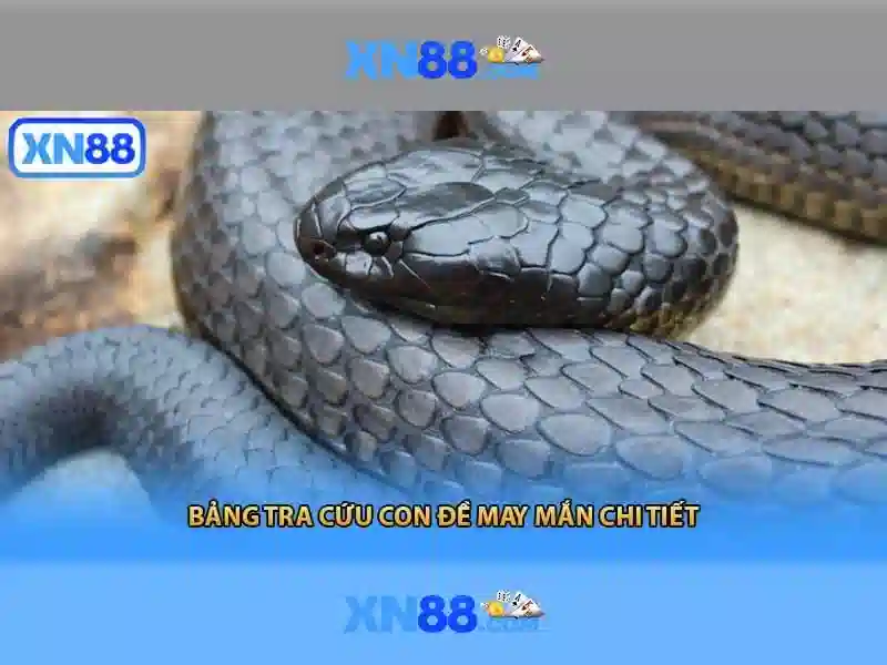 Tính năng nổi bật của xn88