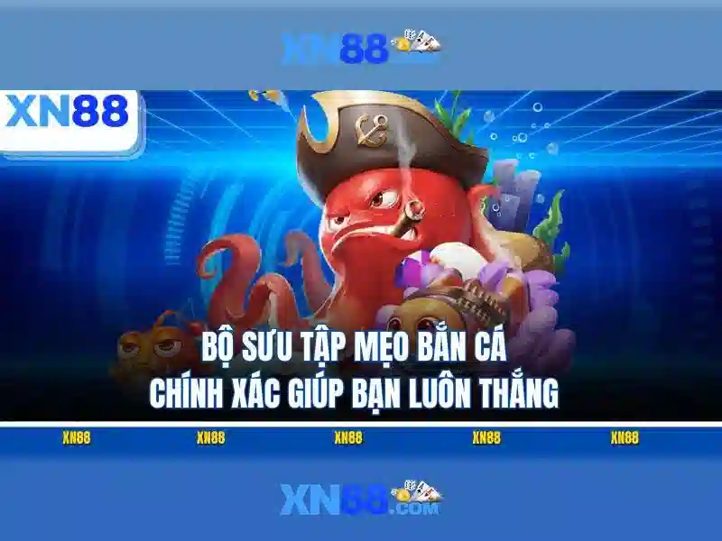 Xn88 là gì?