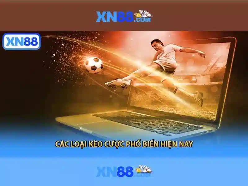 Lý do nên chọn xn88