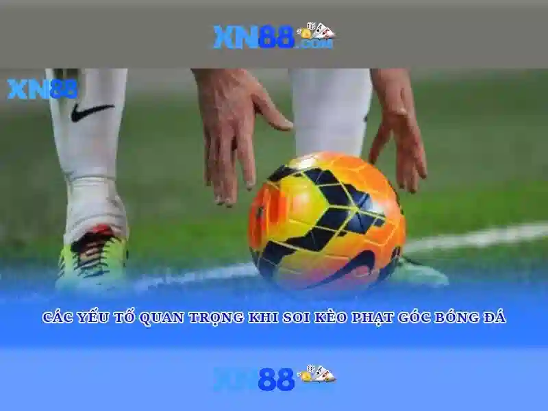 Lịch sử và nguồn gốc