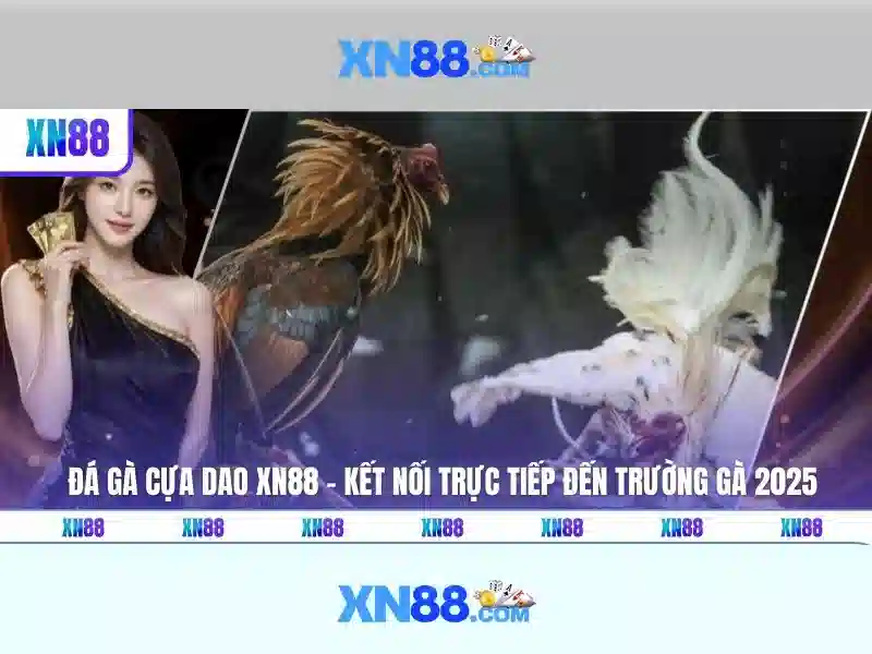Hướng dẫn sử dụng và lưu ý pháp lý