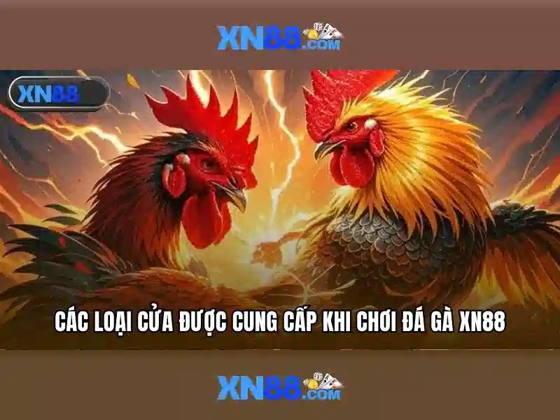 Làm sao để bắt đầu với Xn88 và lưu ý an toàn