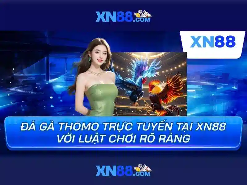 Bắt cầu tài xỉu nhanh chóng, chính xác