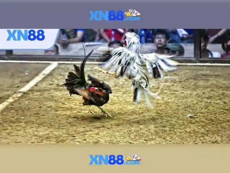 Các tính năng nổi bật và tiện ích