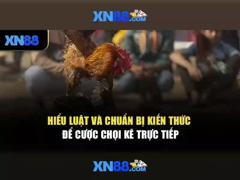 Trải nghiệm người dùng và phản hồi từ cộng đồng