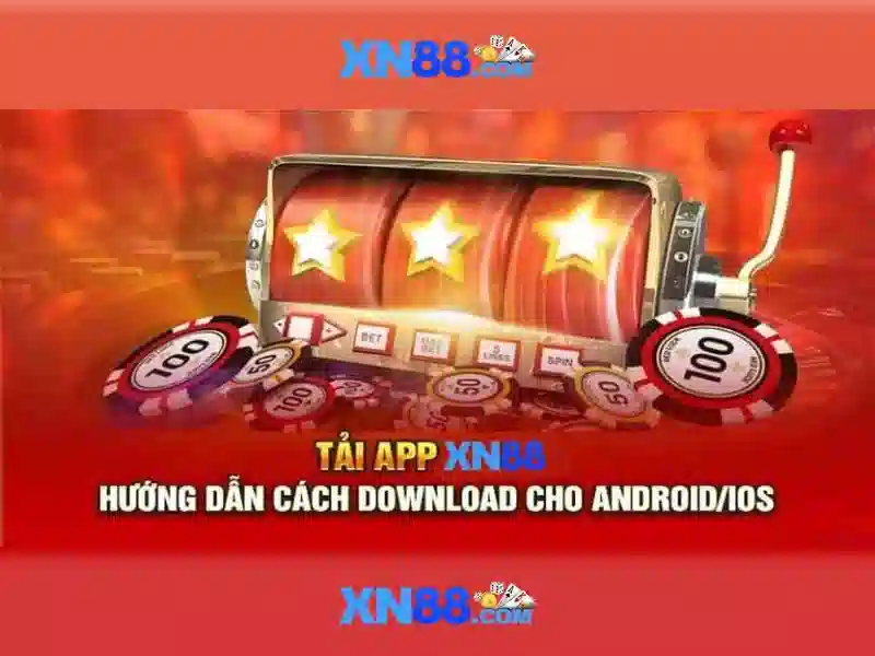 Trải nghiệm người dùng và cộng đồng