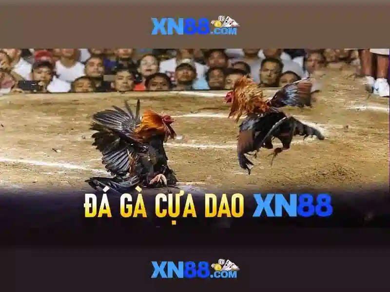 Giới thiệu về xn88