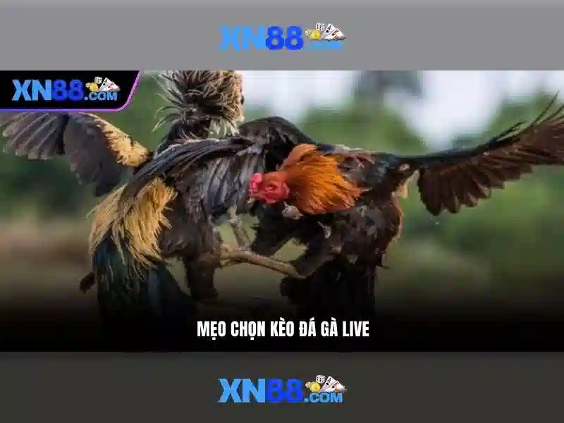 Trò chơi và chức năng