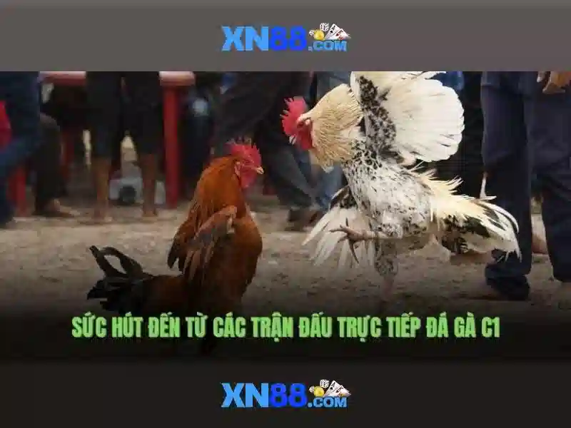 Giới thiệu về xn88