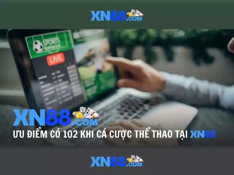 Những đặc điểm nổi bật