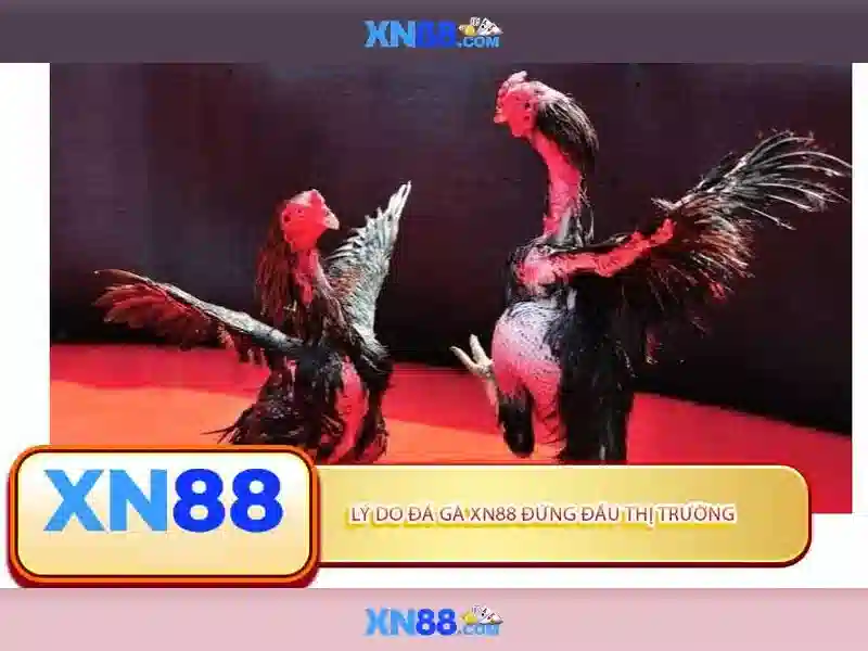 Sự an toàn và pháp lý của xn88