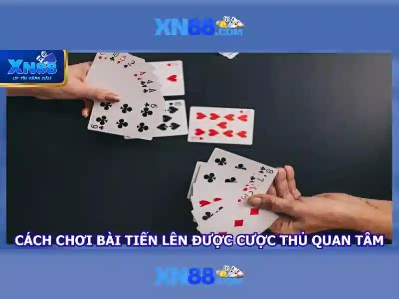 Bảo mật và hỗ trợ người dùng