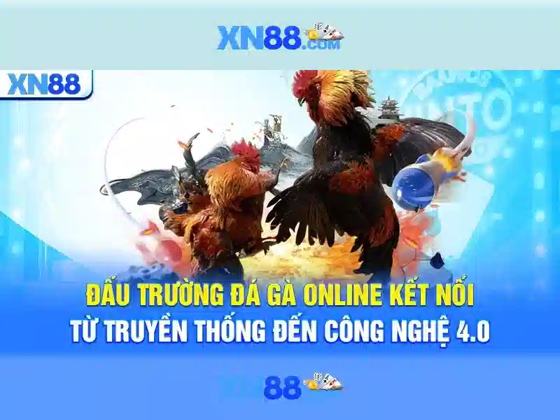 Cac tinh nang noi bat cua XN88