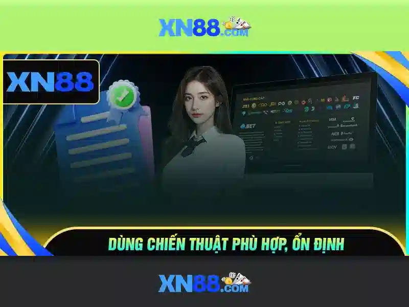 Nền tảng và giấy phép