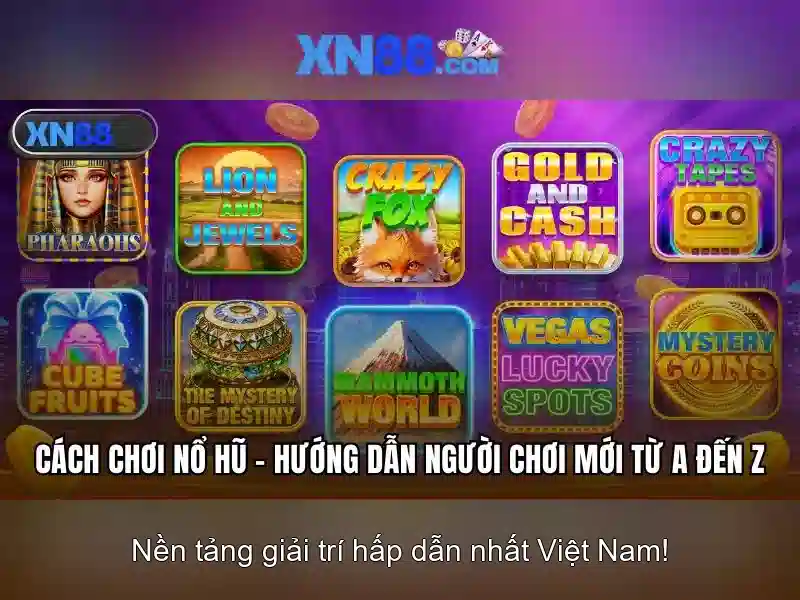 Bắt cầu tài xỉu nhanh chóng, chính xác