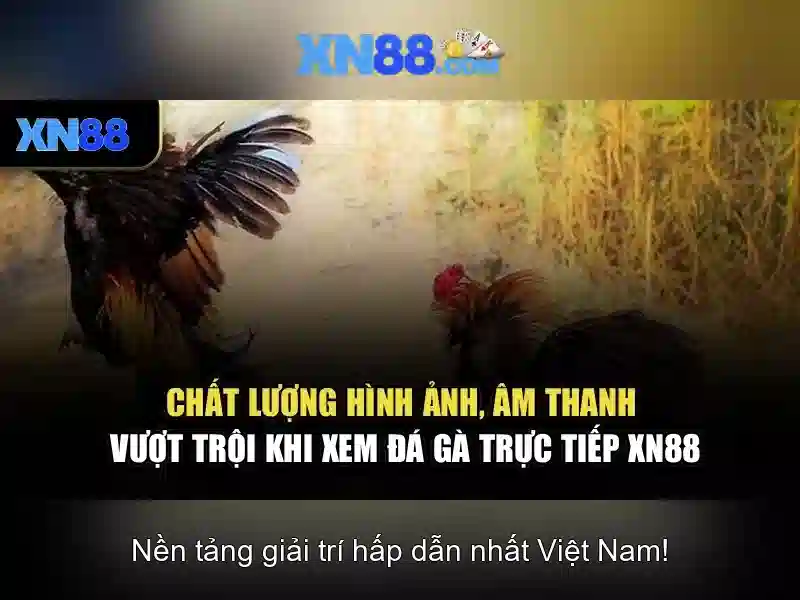Giới thiệu về xn88