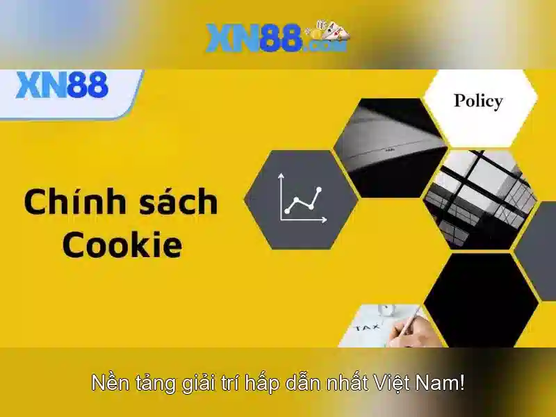 Xn88 là gì?