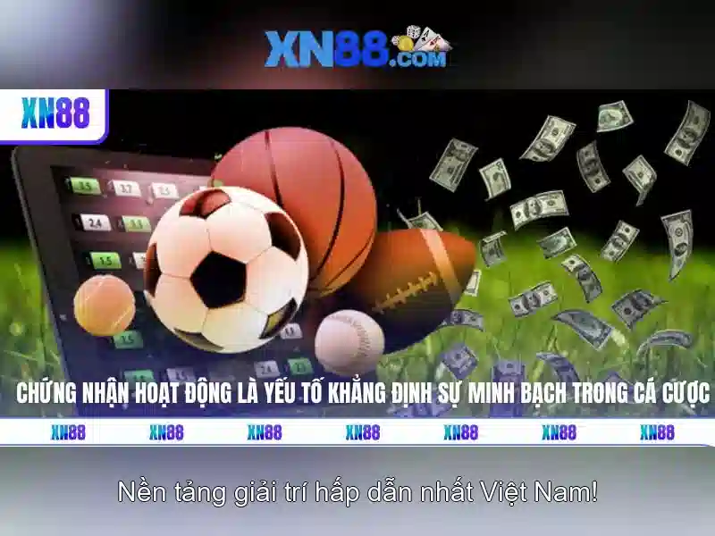 Giới thiệu về xn88