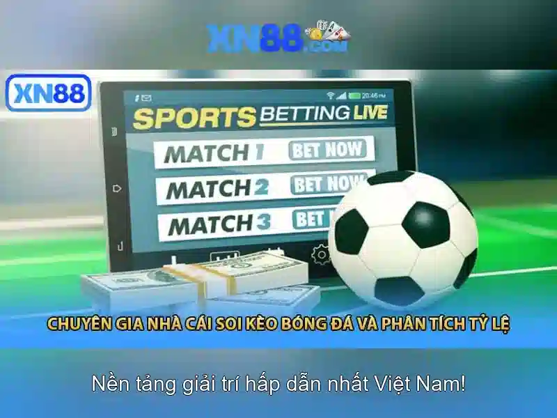 Khám phá xn88 là gì