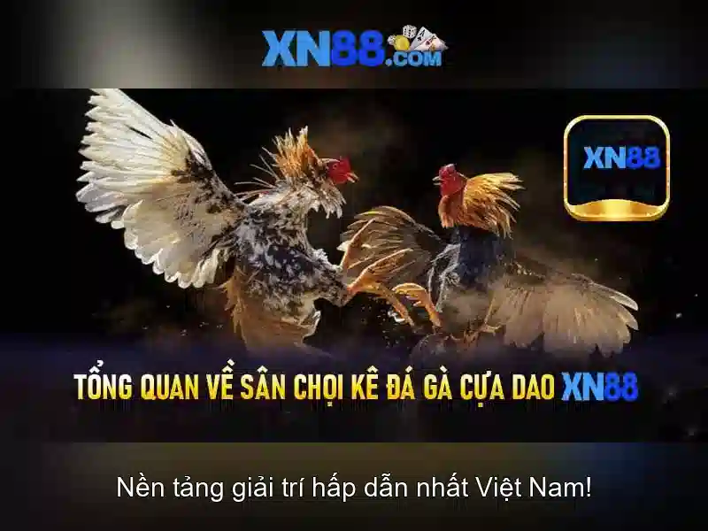 Game bắn cá C54 được nhiều người chơi yêu thích