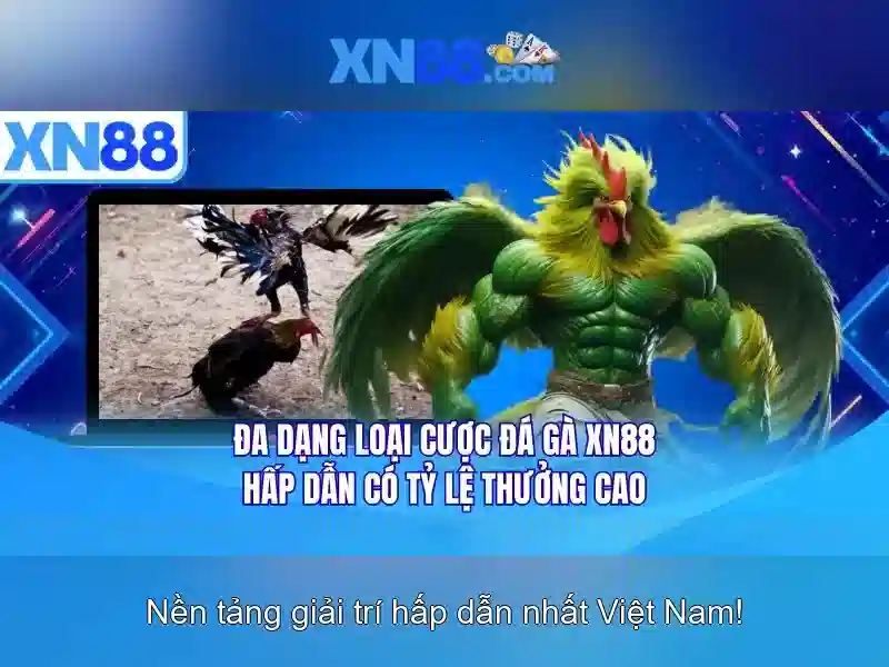 An toàn và thanh toán