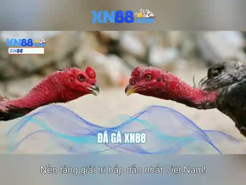 Các tính năng nổi bật