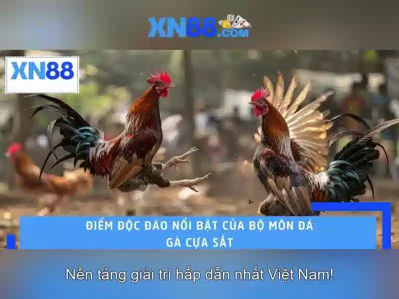 Lịch sử và giấy phép hoạt động