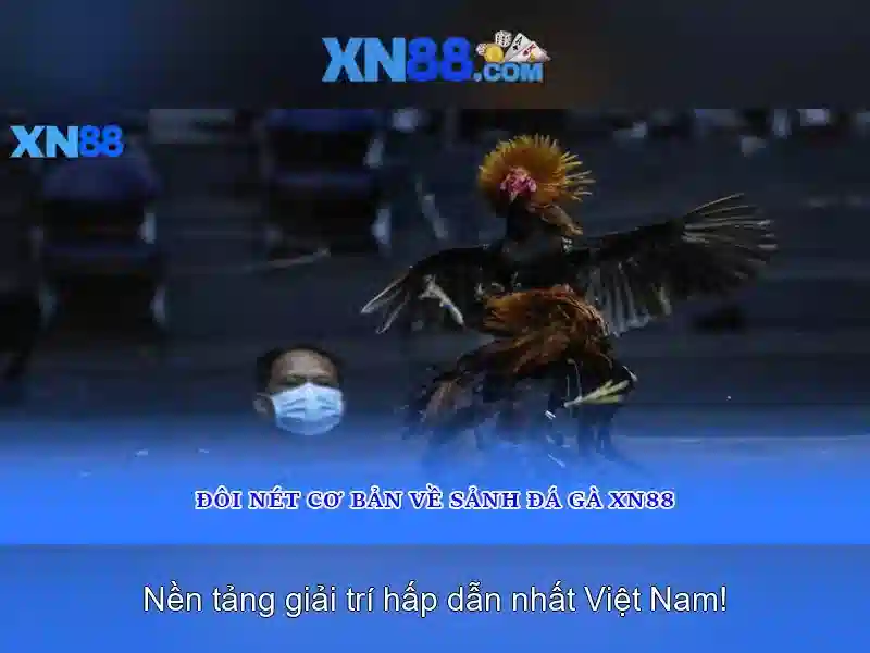 Giao diện và trải nghiệm người dùng