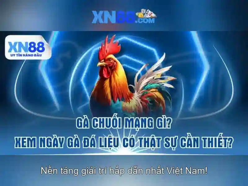 Tính năng nổi bật của xn88