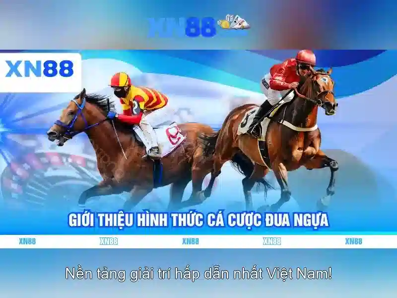 Lịch sử phát triển của xn88