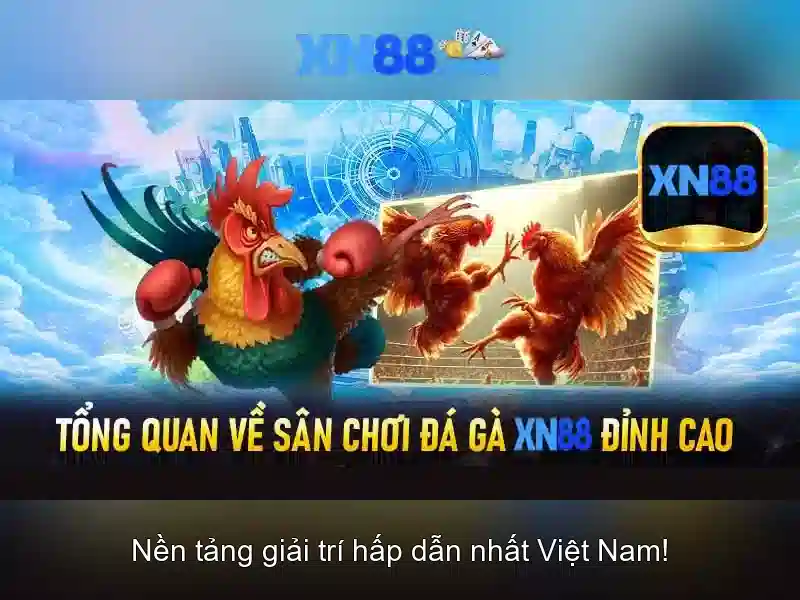 Giới thiệu về xn88