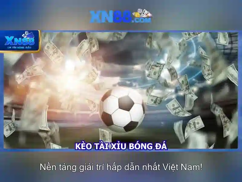 Giao diện người dùng và trải nghiệm