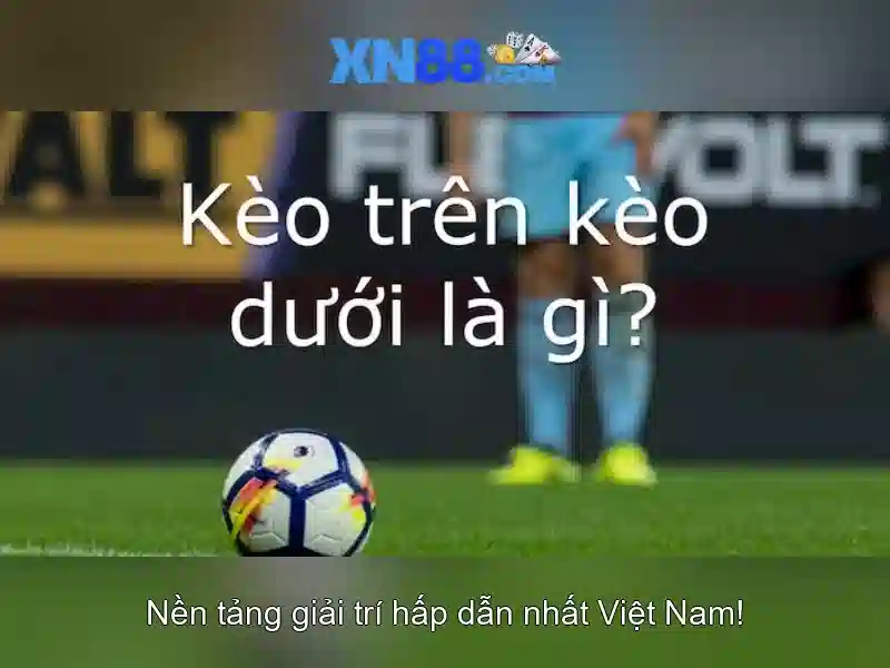 An toàn và quy định người chơi