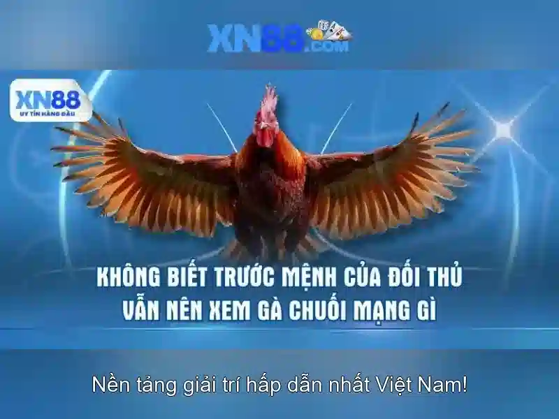 Giới thiệu về xn88