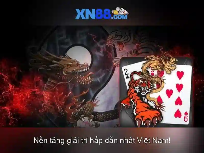 Các chức năng và dịch vụ