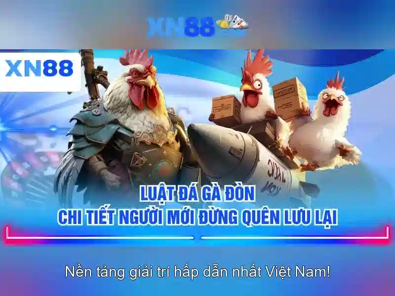 Bảo mật và pháp lý