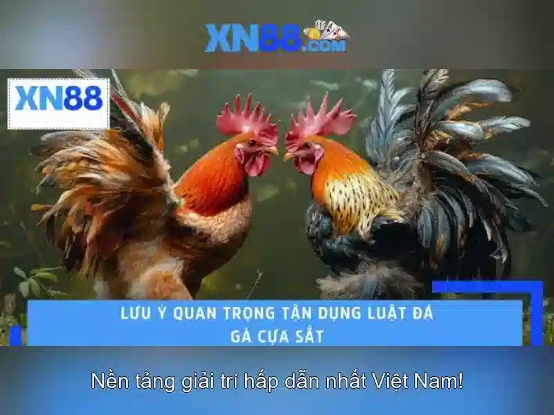 Các tính năng nổi bật