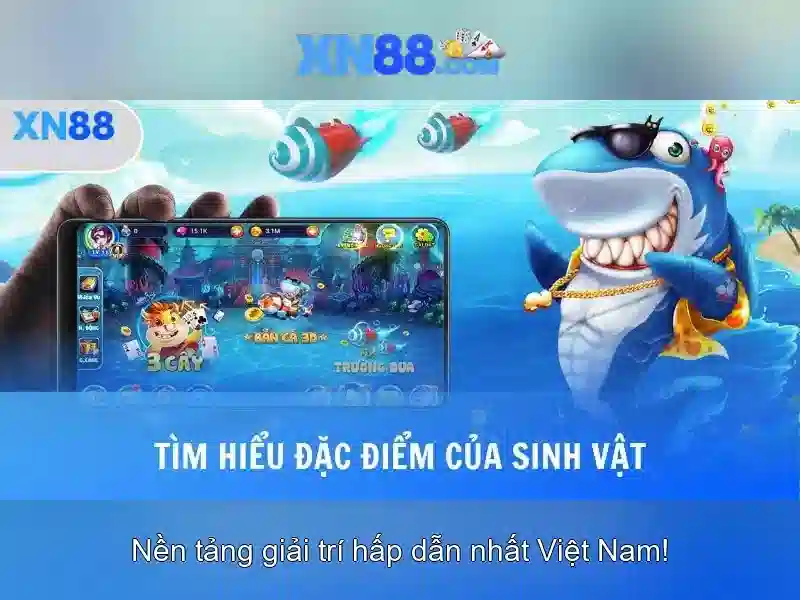 An toan khi tham gia XN88