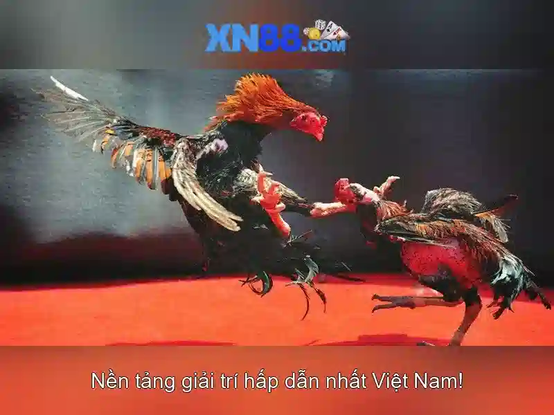 Game bắn cá C54 được nhiều người chơi yêu thích